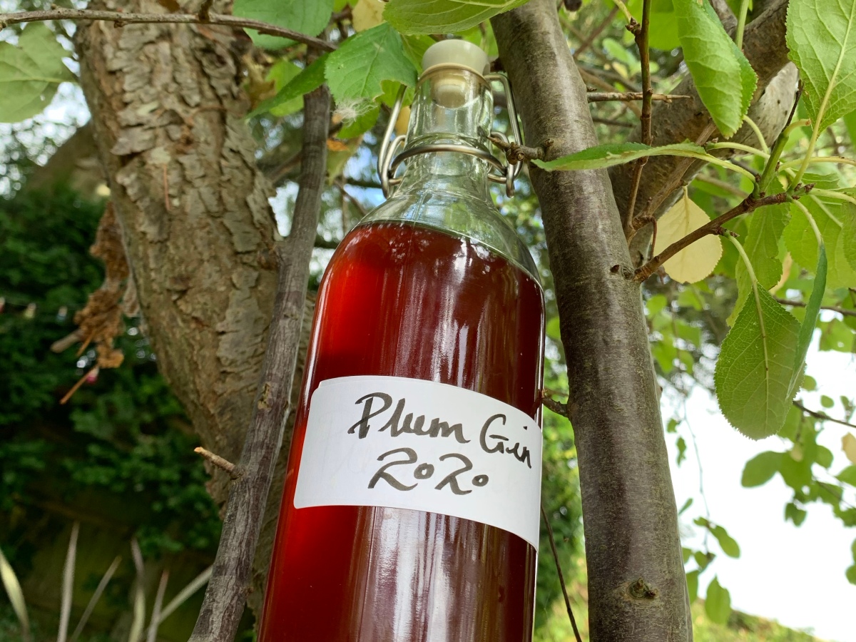 Easy recipe for plum gin